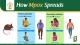 Health Awareness Is Civic Duty: Learn How Mpox Spreads